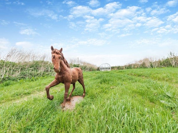 Horse sculpture in the wild meadow